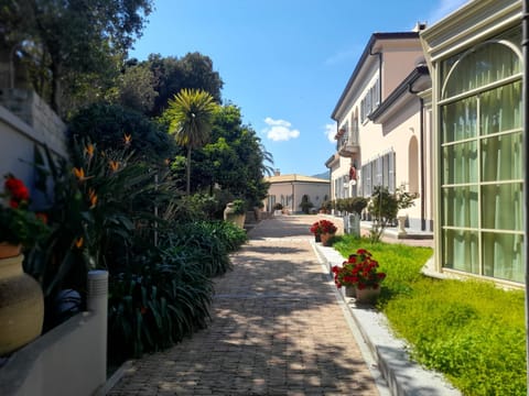 Property building, Spring, Day, Garden, Garden view