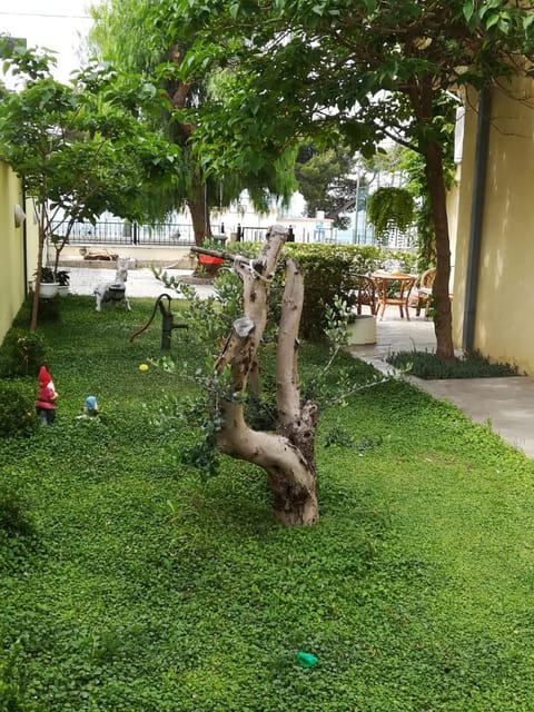 Neighbourhood, Natural landscape, Garden