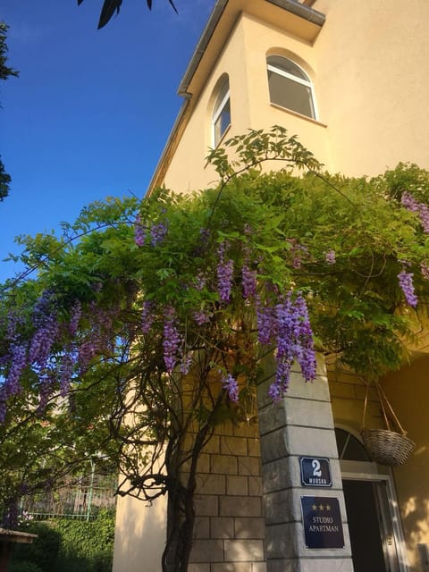 Apartmani Morango Apartment in Podstrana