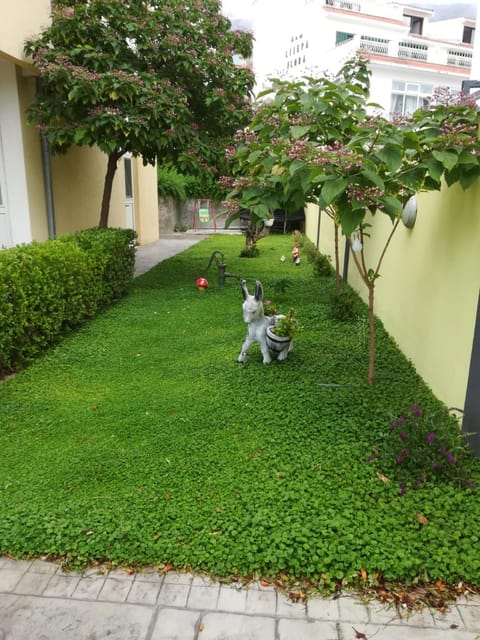 Neighbourhood, Natural landscape, Garden