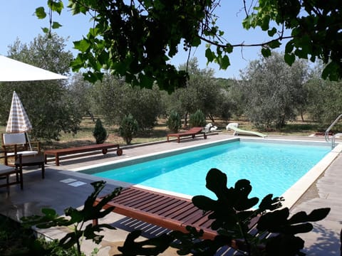 Pool view