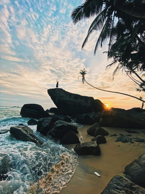 Natural landscape, Beach, Sunset