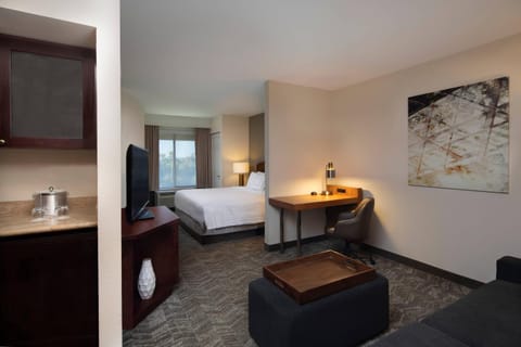 SpringHill Suites by Marriott Tampa Westshore Hotel in Tampa