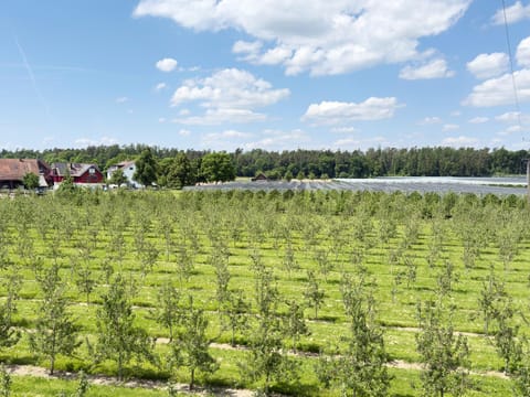 Ferienwohnung 'Haus Blütenmeer' Apartment in Langenargen