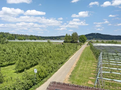 Ferienwohnung 'Haus Blütenmeer' Apartment in Langenargen