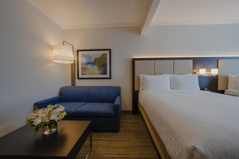 Holiday Inn Express Hotel & Suites Santa Clara - Silicon Valley, an IHG Hotel Hotel in Santa Clara