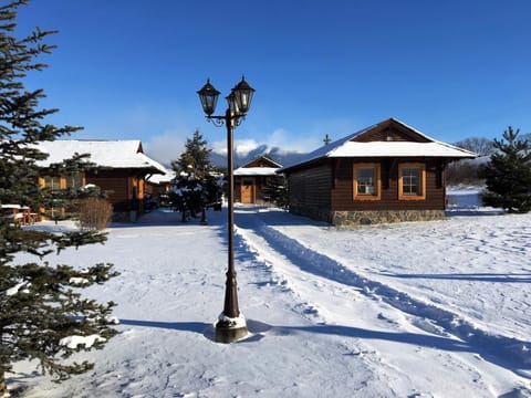 Property building, Off site, Winter, Decorative detail, Mountain view