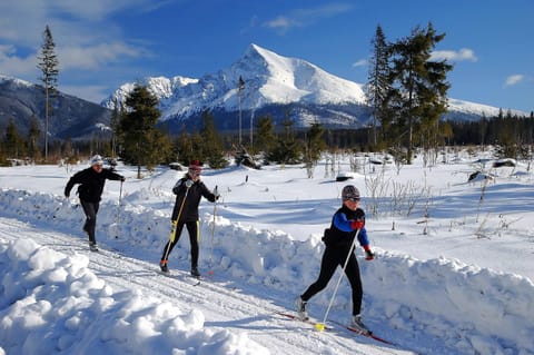 Nearby landmark, Neighbourhood, Natural landscape, Activities, Ski School, Skiing