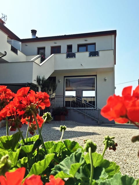 Property building, Day