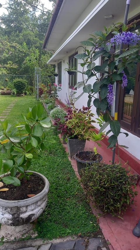 Mahaweli Shades Bed and Breakfast in Gangawatakorale