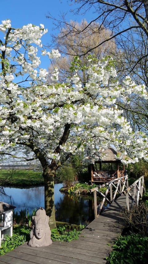 Spring, Garden