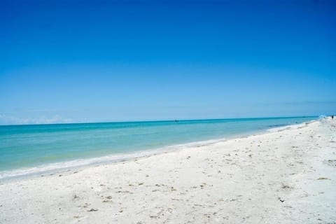 Sanddollar #A202 House in Sanibel Island