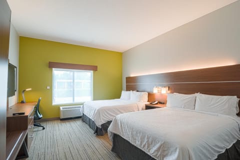 Holiday Inn Express Hotel & Suites Tampa-USF-Busch Gardens, an IHG Hotel Hotel in Tampa