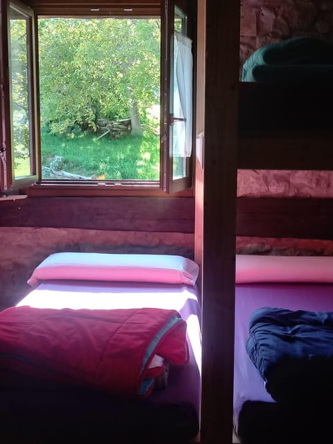 Bed, Garden view, bunk bed