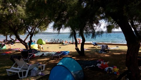 Beach, Area and facilities