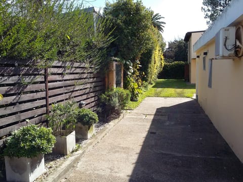 Patio, Area and facilities