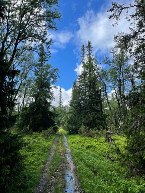 Hiking, Hiking