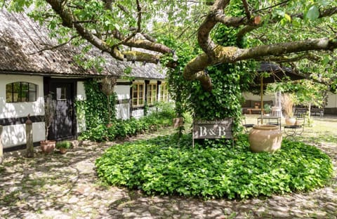 Property building, Day, Inner courtyard view