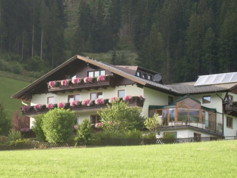 Spring, Day, Natural landscape, Garden