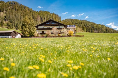 Neighbourhood, Garden, Hiking