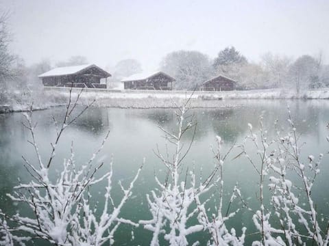 Watermeadow Lakes & Lodges Nature lodge in South Somerset District