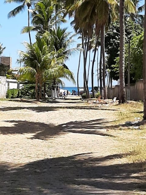 Natural landscape, Beach, Certificate/Award