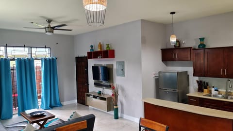 Casa Pinto Guest Apartment Condo in Kingston