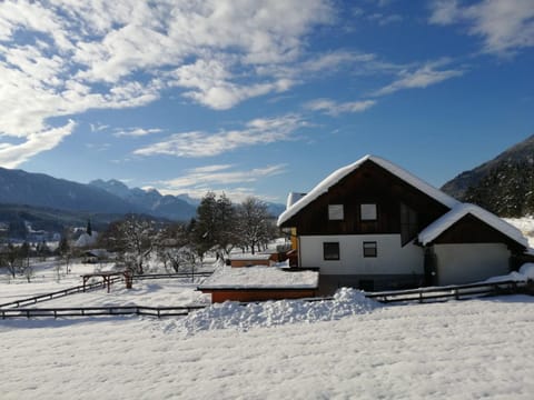 Property building, Day, Winter, On site
