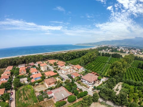 Natural landscape, Bird's eye view, Beach