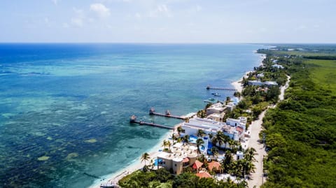 Natural landscape, Bird's eye view