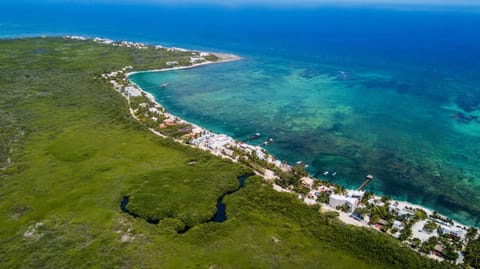 Natural landscape, Bird's eye view