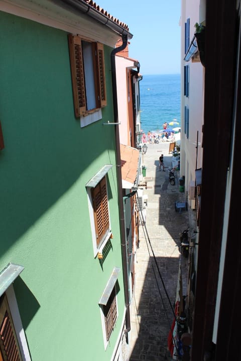 Beach, Sea view, Street view