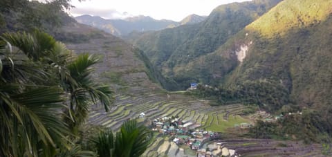 Batad Lhorens Inn and Restaurant Bed and Breakfast in Cordillera Administrative Region