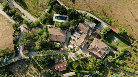 Property building, Bird's eye view