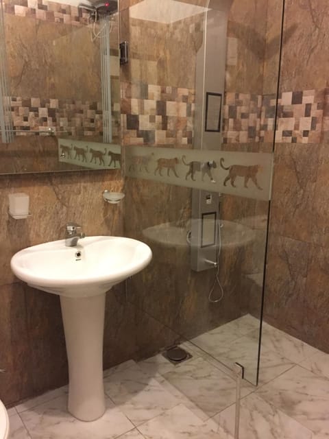 Shower, Bathroom, Decorative detail