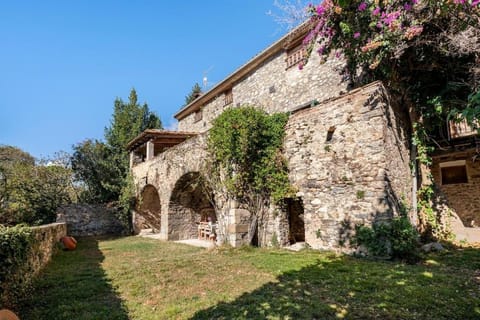 Patio, Garden