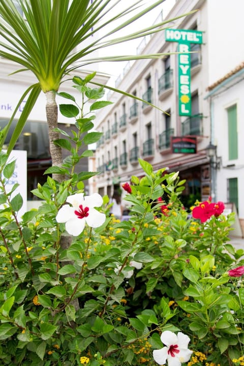 Hotel Reyesol Hôtel in Fuengirola