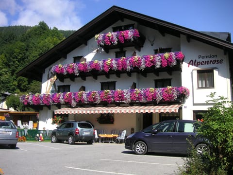 Property building, Facade/entrance, Summer