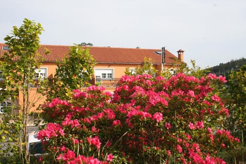 View (from property/room), Decorative detail, Street view