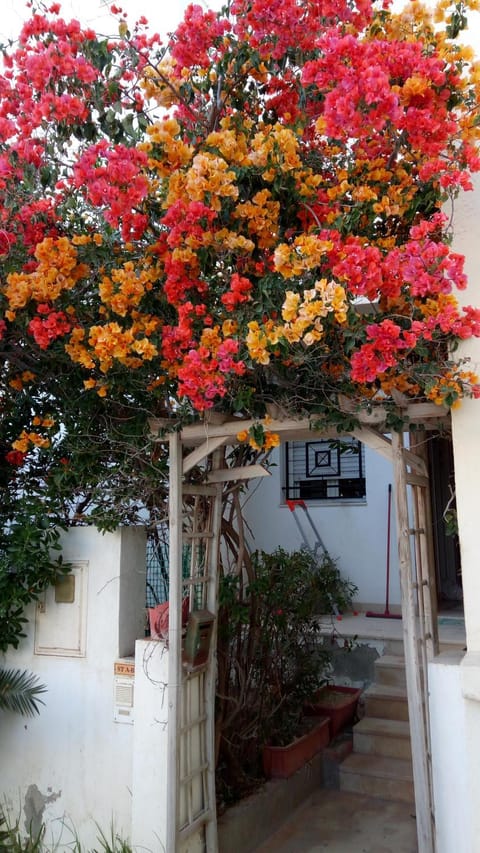 Happy House Ennasr Eigentumswohnung in Tunis