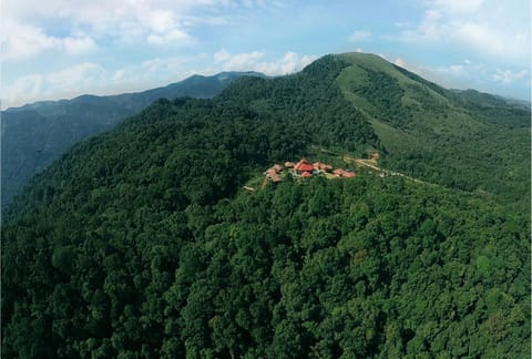Wild Planet Jungle Resort Resort in Kerala