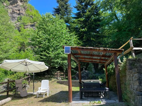 Day, Natural landscape, Garden