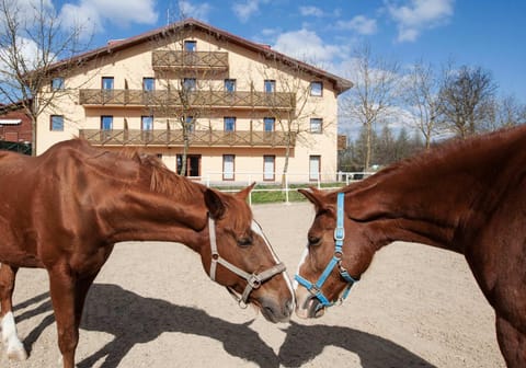 Property building, Facade/entrance, Spring, Day, Neighbourhood, Natural landscape, Horse-riding, Pets, Facility for disabled guests