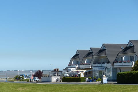 Property building, Day, Garden