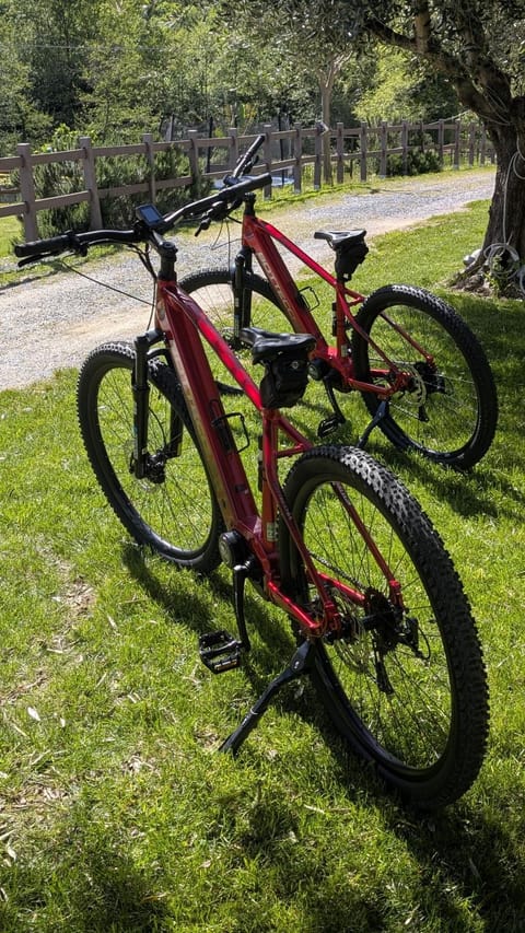 Day, Cycling, Cycling