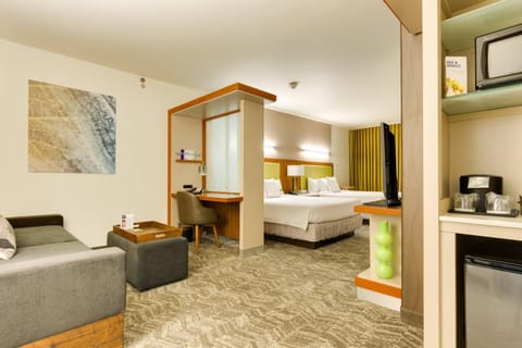 SpringHill Suites by Marriott McAllen Convention Center Hotel in McAllen
