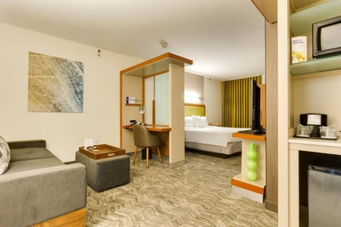SpringHill Suites by Marriott McAllen Convention Center Hotel in McAllen
