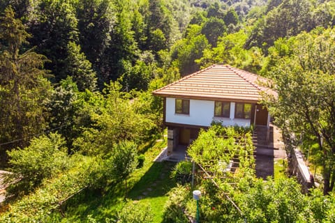 Holiday Home Lyubovo Alojamiento y desayuno in Gabrovo