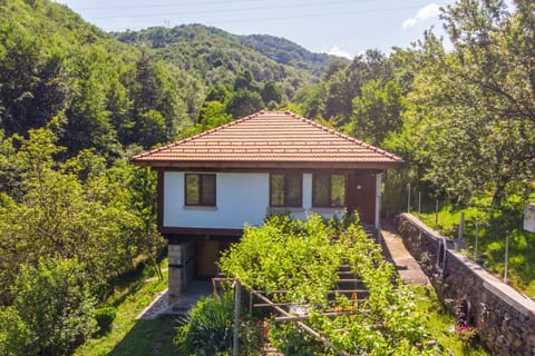 Holiday Home Lyubovo Bed and Breakfast in Gabrovo