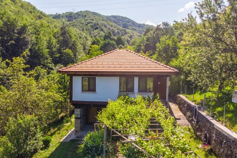 Holiday Home Lyubovo Alojamiento y desayuno in Gabrovo